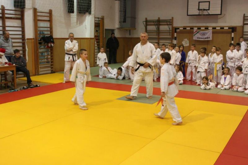 2013 12 05 VEJSE MIULaS KUPA 17 