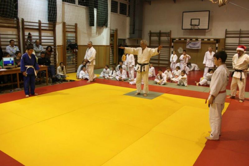 2013 12 05 VEJSE MIULaS KUPA 24 