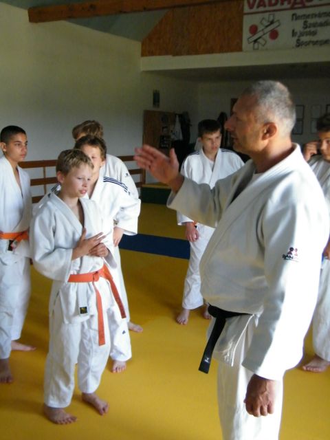 2014  NEMESVaMOS OVVIZSGA TaBOR  28 