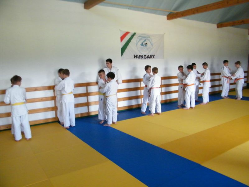 2014  NEMESVaMOS OVVIZSGA TaBOR  37 