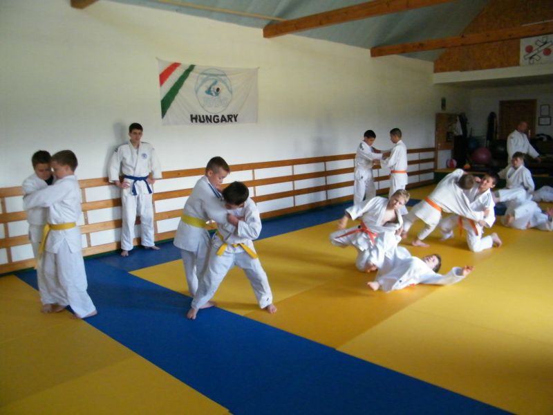 2014  NEMESVaMOS OVVIZSGA TaBOR  38 