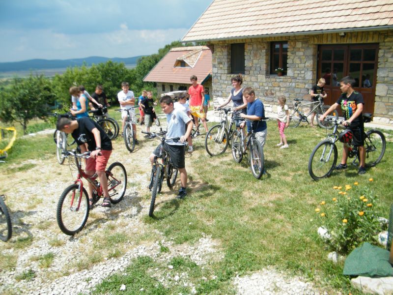 2014  NEMESVaMOS OVVIZSGA TaBOR  53 