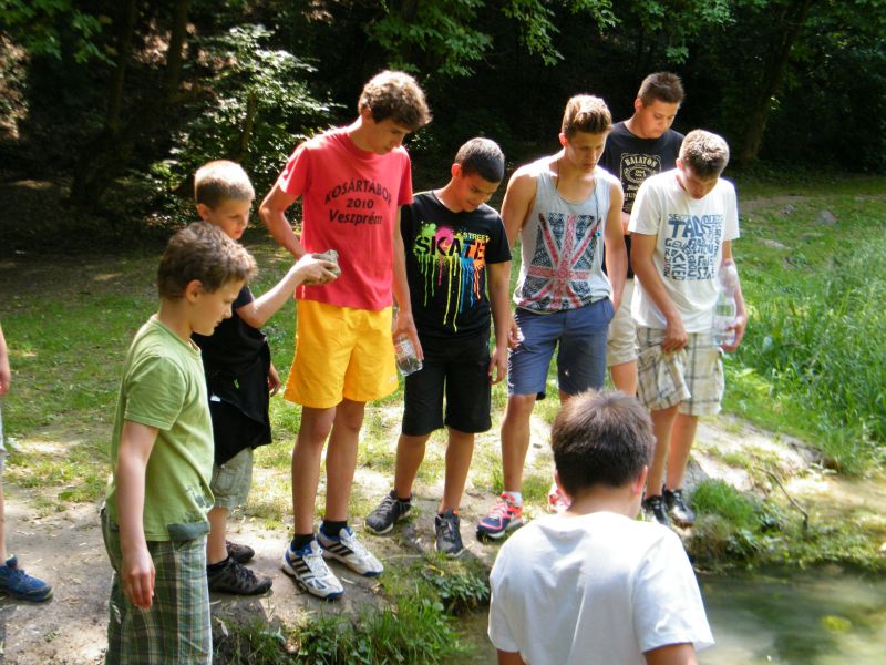 2014  NEMESVaMOS OVVIZSGA TaBOR  58 