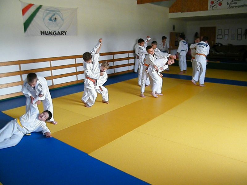 2014  NEMESVaMOS OVVIZSGA TaBOR  79 